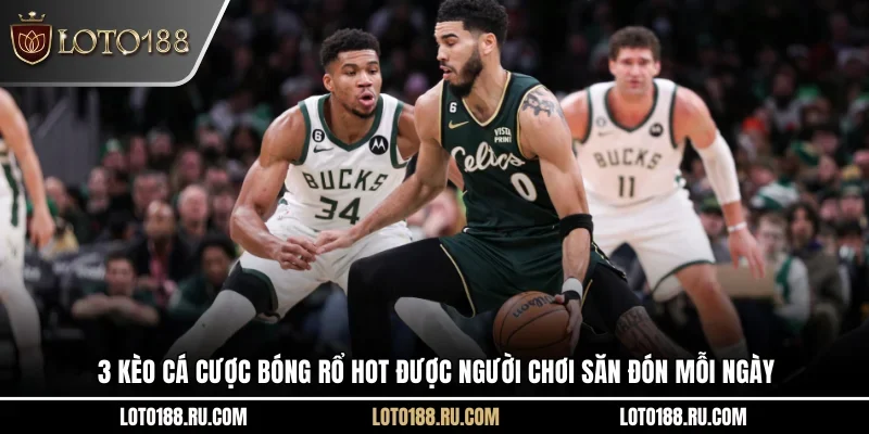 Cá cược bóng rổ