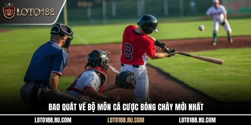 Bao quát về bộ môn cá cược bóng chày mới nhất