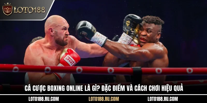 Cá cược Boxing online