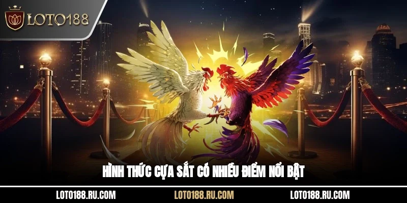 Hình thức cựa sắt có nhiều điểm nổi bật